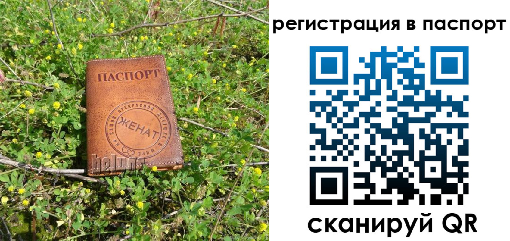 прописка законно в Козельске